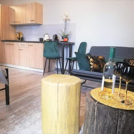 Apartament Czarne Zloto Katowice Extérieur photo