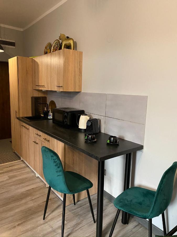 Apartament Czarne Zloto Katowice Extérieur photo